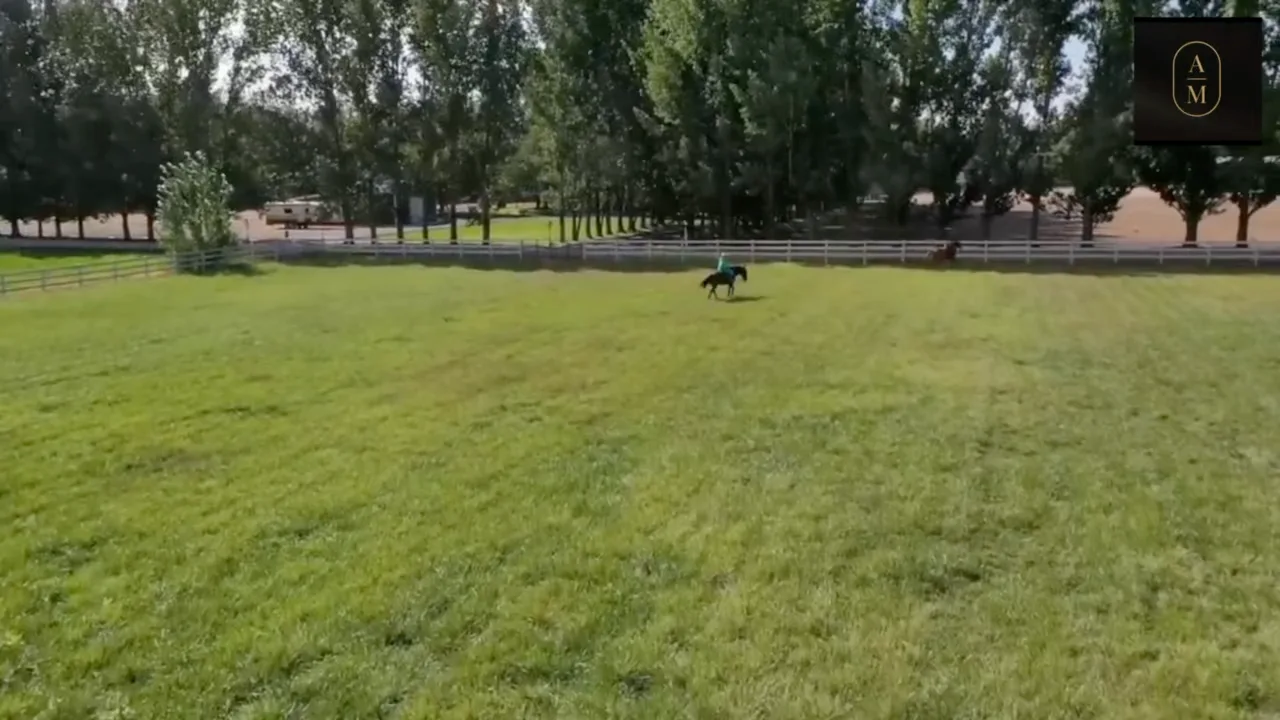 Still from the Middleton Horse Property film
